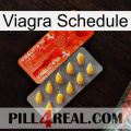 Viagra Schedule new01